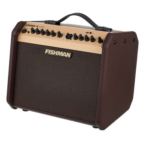 Fishman Loud Box Mini Acoustic Guitar Combo Speaker- 145 Watts