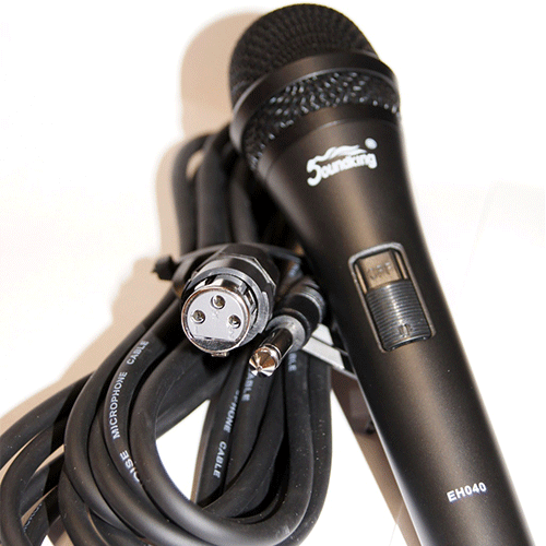 Soundking Microphone