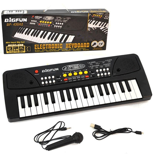 Big Fun Electronic Keyboard